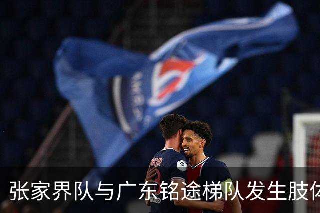 张家界队与广东铭途梯队发生肢体冲突，湖南省足协：暂停涉事人员参加省内一切足球活动